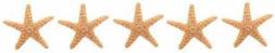 cinnamon beach - Five Star Rating